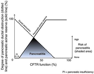 Frontiers | The Exocrine Pancreas In Cystic Fibrosis In The Era Of CFTR ...